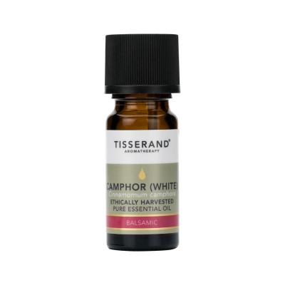 Tisserand Essential Oil Camphor (White) 9ml